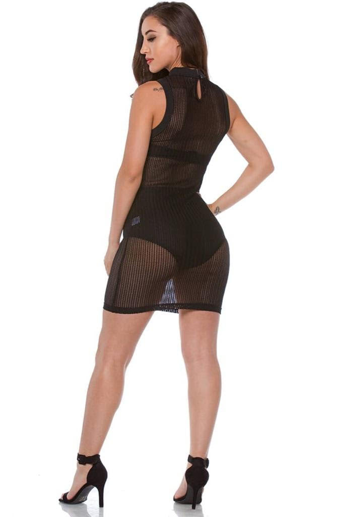 Sleeveless Sheer Knit Dress